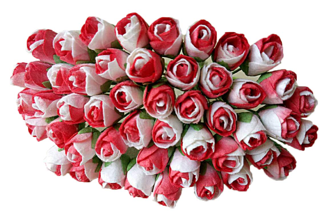 NAVA CHIANGMAI Tiny Two Tone Color Rose Bud Mulberry Flower Paper, Wedding Flowers, Mulberry Flowers, Paper Rose Buds, Accessory DIY, Artificial Craft Scrapbooking Flowers (Two Tone Red)