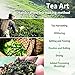 Xin Qing Black Oolong Tea Taiwan Red Oolong Tea Taiwan High Mountain Oolong Tea Loose Oolong Tea 150g/5.3oz