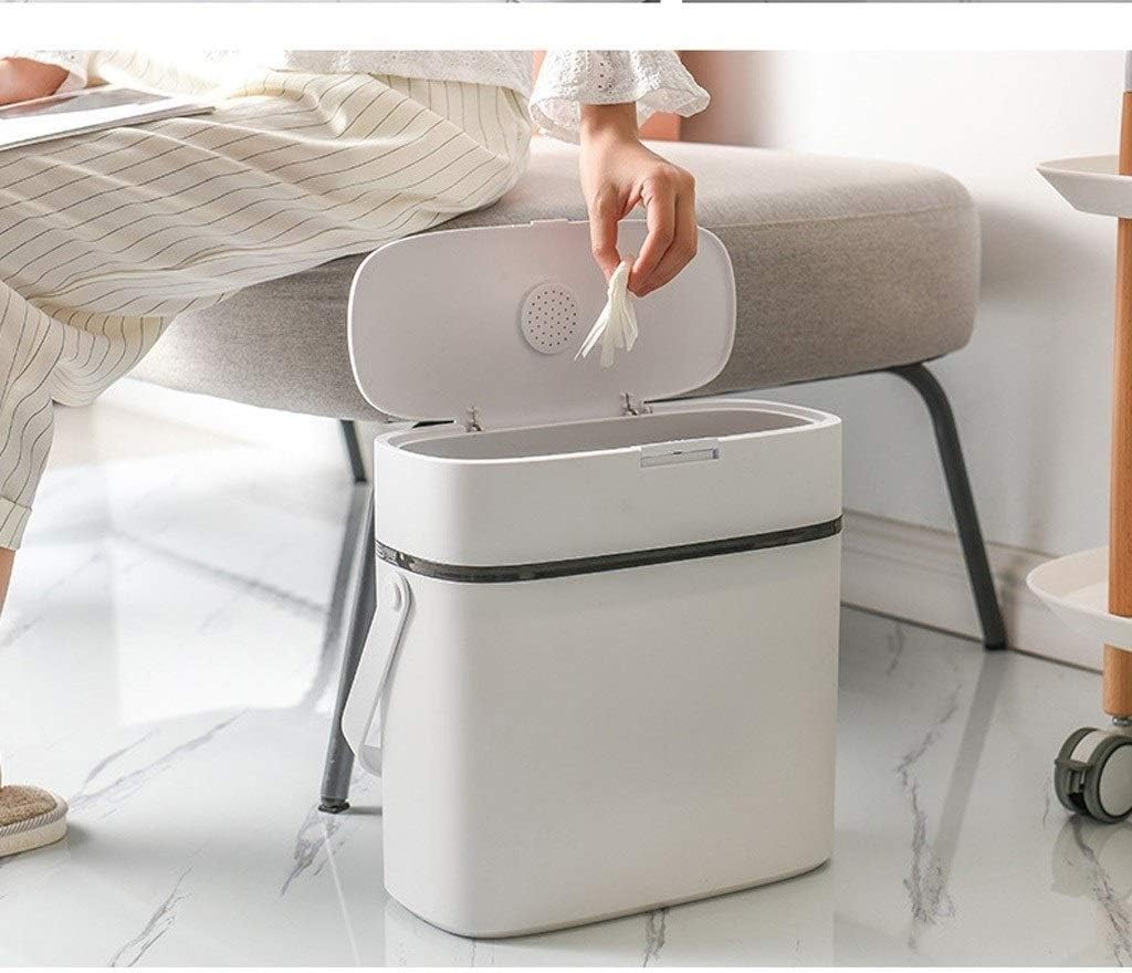 浮世絵、皇国二十四功大久保彦左衛門忠教、歌川芳年画