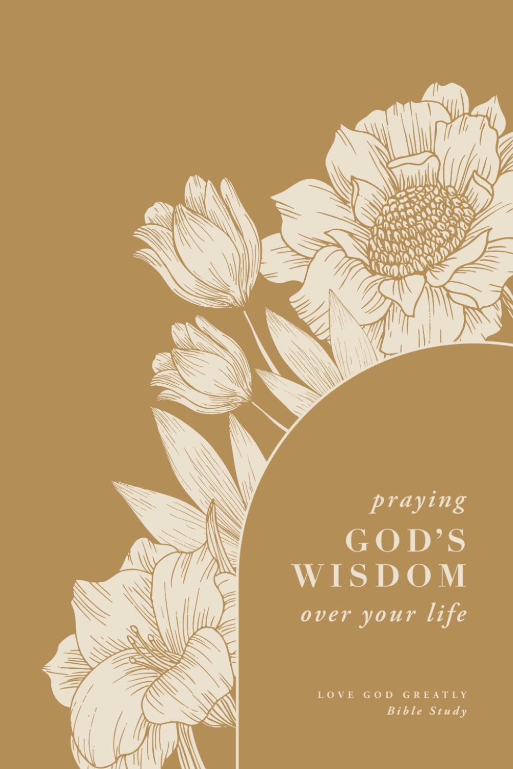 Praying God’s Wisdom Over Your Life: A Love God Greatly Bible Study      Paperback – November 14, 2025