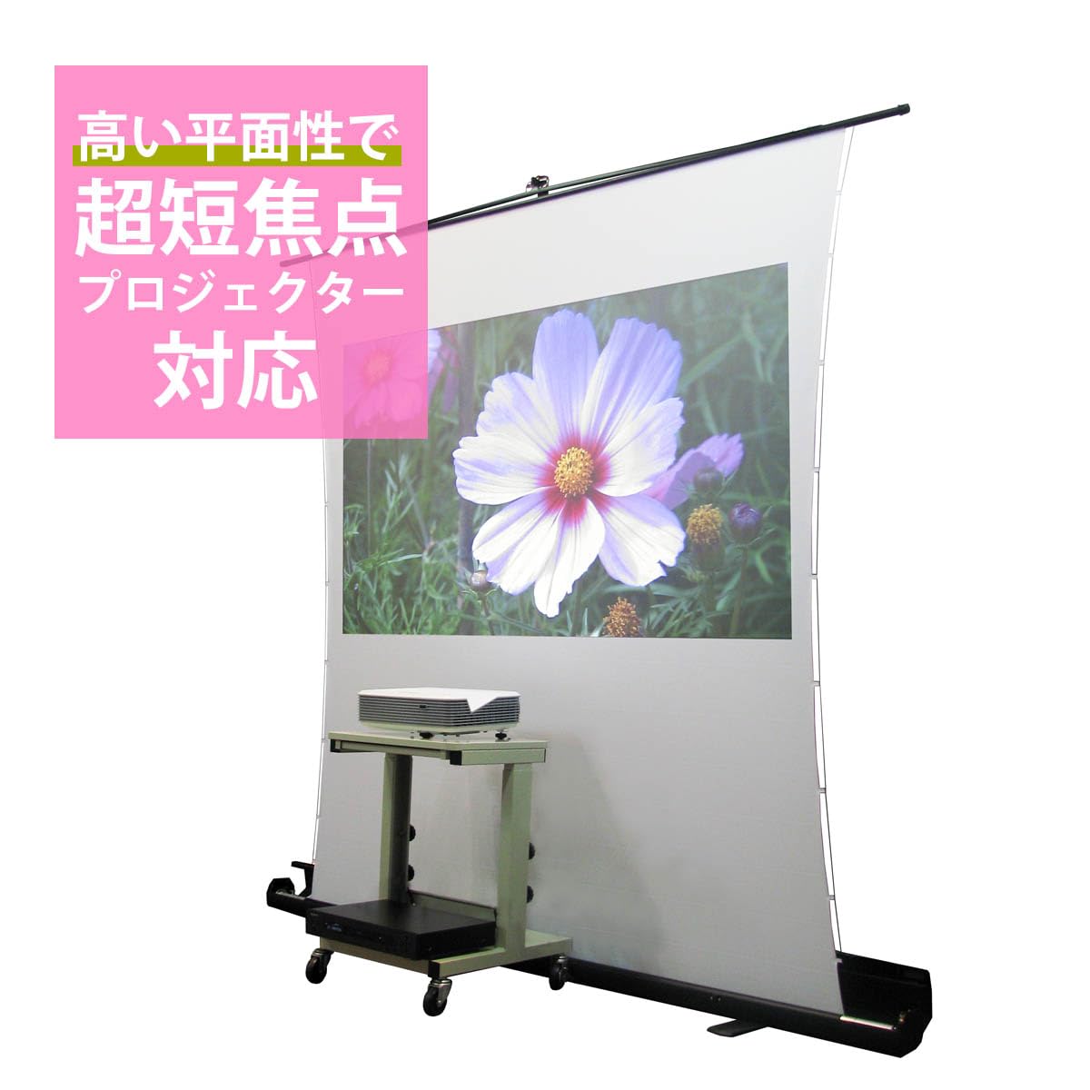 Amazon | オーエス 自立型フロアスタンドスクリーン SVS-63FN 63インチ