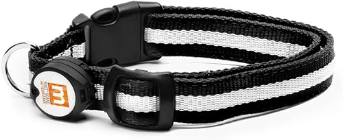 Mace marca Nite Beams LED iluminado collar para mascotas