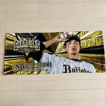 61tqozYkzpL._AC_UF350, 61tqozYkzpL._AC_UF350,