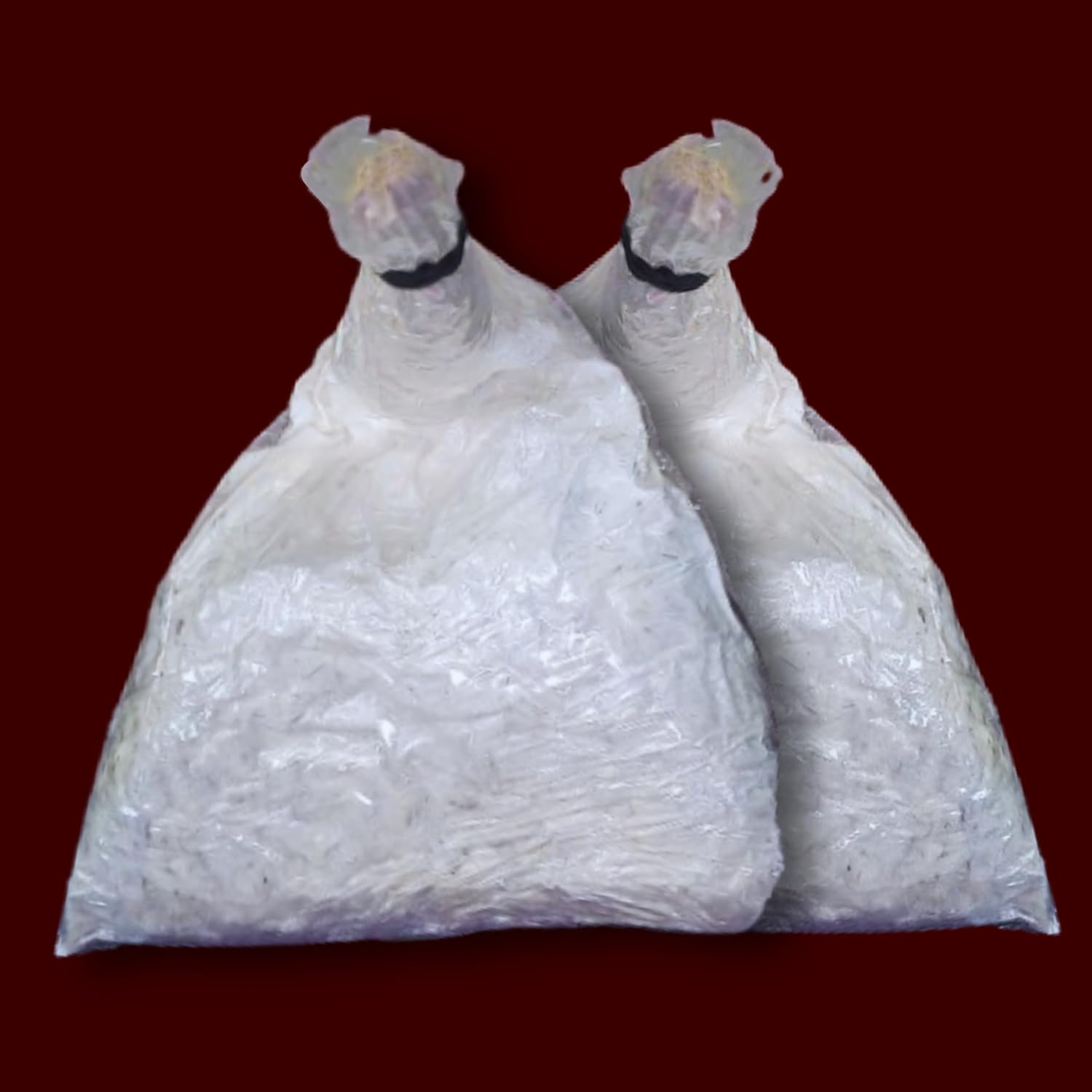 Combo of Oyster and Paddy Straw Mushroom Growing Kit (400 Gm + 2 PP Bags), First Generation High Yield Mushroom Seed | Edible Ah and VV Variety Mushroom Spawn Seed | Summer-Rainy Season