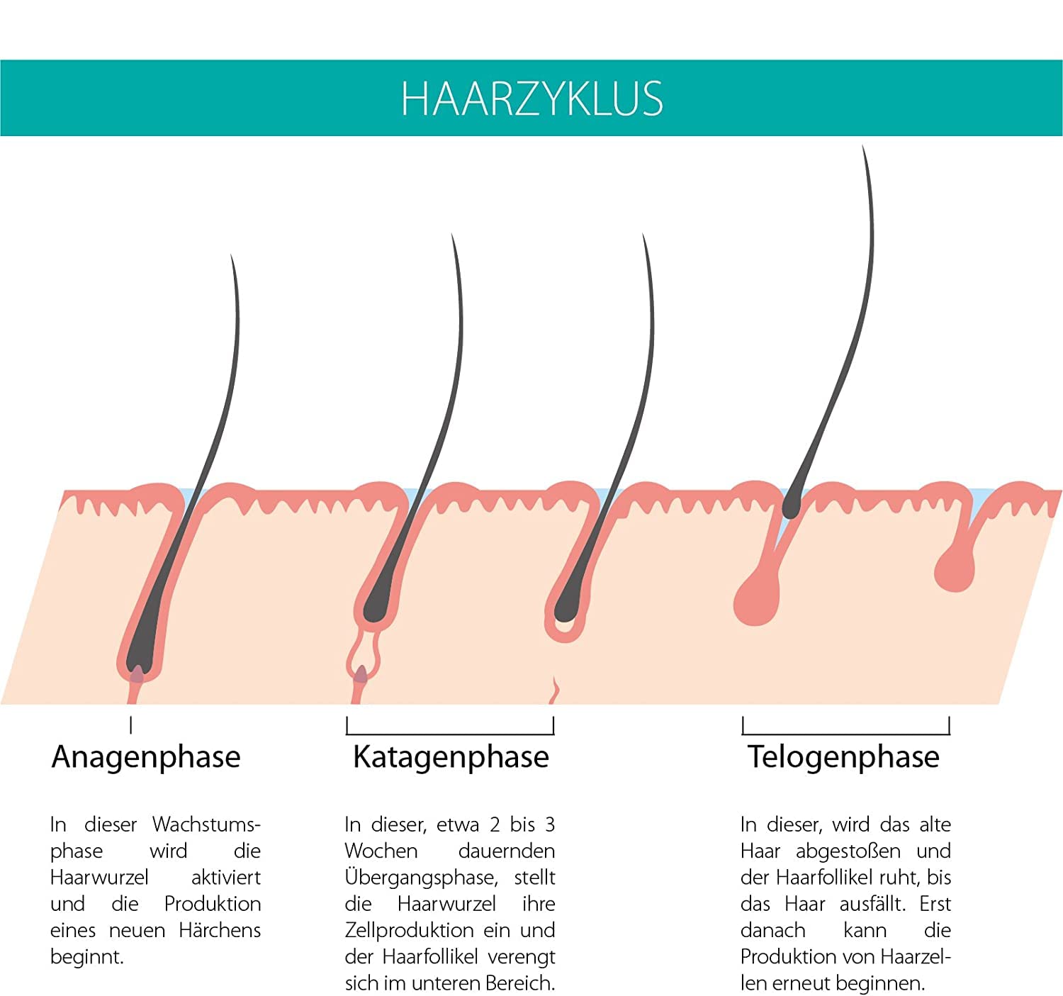 Wimpern Serum Boost Formula 2.0 – Wimpern- & Augenbrauenserum mit Aloe Vera – Booster für längere & dichtere Wimpern – hochverträglich & einfach aufzutragen, 6 ml