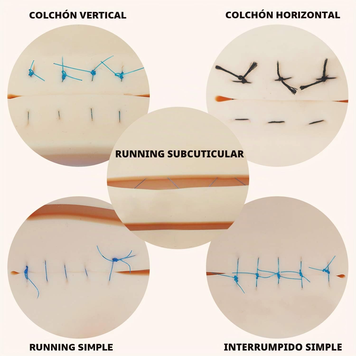 Kit de sutura (30 piezas) para entrenamiento de sutura de estudiantes de medicina, incluye almohadilla de sutura de actualización con 14 heridas precortadas, herramientas de sutura (A)