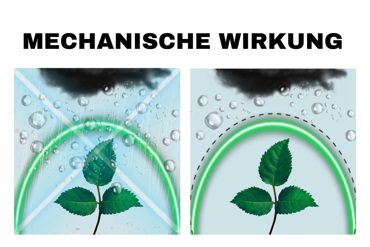 Gewächshausfolie 6-8 m breit I Hochtransparente & reißfeste Gartenfolie für Abdeckungen im Außenbereich I Schutzplane wetterfest & 4 Jahre UV-beständig