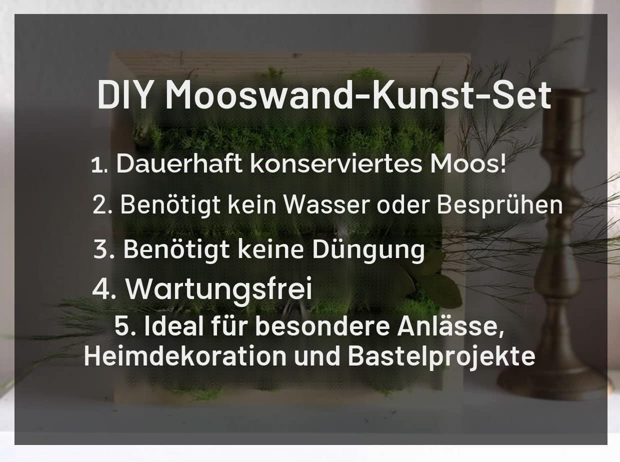 5 Farben Mix Pack konserviert Rentiermoos Natur Grün DIY Kit Gartenarbeit Kunst Wand Dekor Florist Dekor (0,45 kg) (Grün-01 Grün-02 Grün-03 Grün-06 Grün-12)