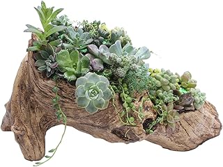HEMOTON Vaso de Flores Resina Artificial Torcido Driftwood Plantador de Vaso de Flor Escultura Plantador de Suculentas Multicamadas 2 Potes para Decoração Plantas
