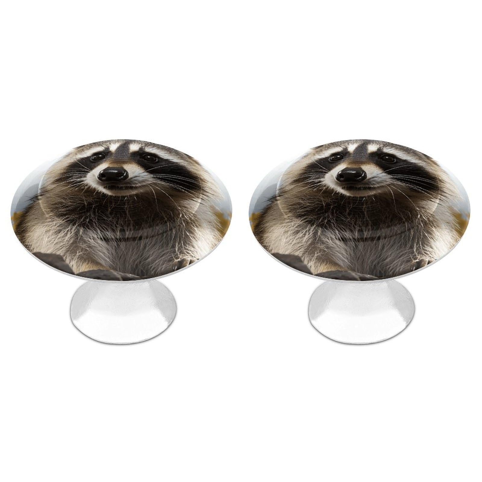 Vstadank Style Hairy Raccoon Drawer Knob Nice Bathroom Cabinet Knob Round Cabinet Pull Stainless Steel Cabinet Handle Circle Drawer Handle Modern Drawer Pull For Wardrobe Cupboard 2 Pcs