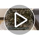 Fraser Hill Farm 12-Ft. Alaskan Pine Flocked Artificial Christmas Tree with Warm White LED Lights and Stand, Prelit Foldable Fake Tree with Realistic Snowy Foliage for Home Decoration