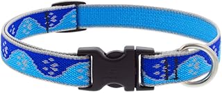 Lupine Reflective Dog Collar 3/4