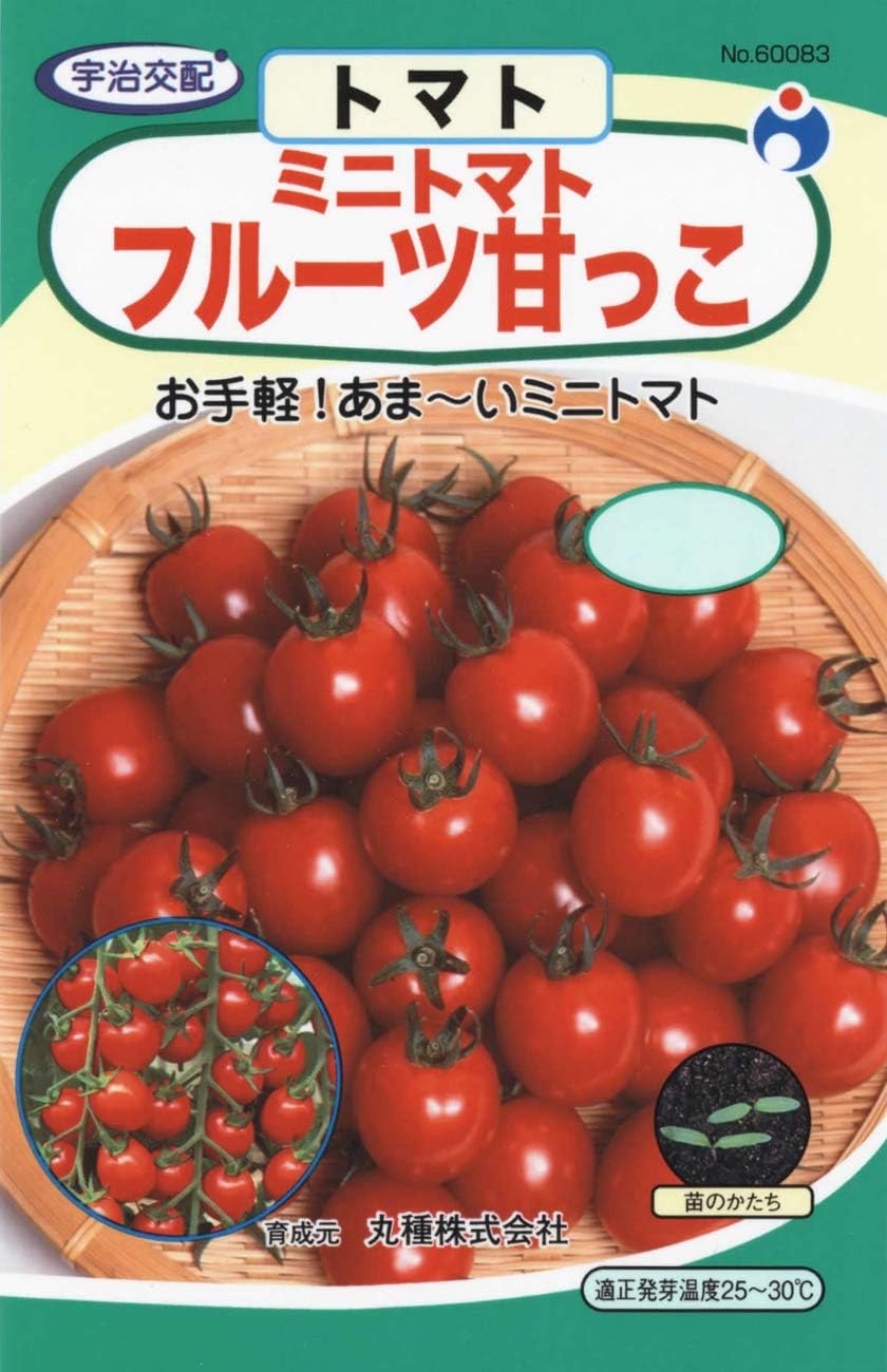 ミニトマト 種 甘っこ 1000粒 丸種 ミニトマト 種 甘っこ 1000粒 丸種