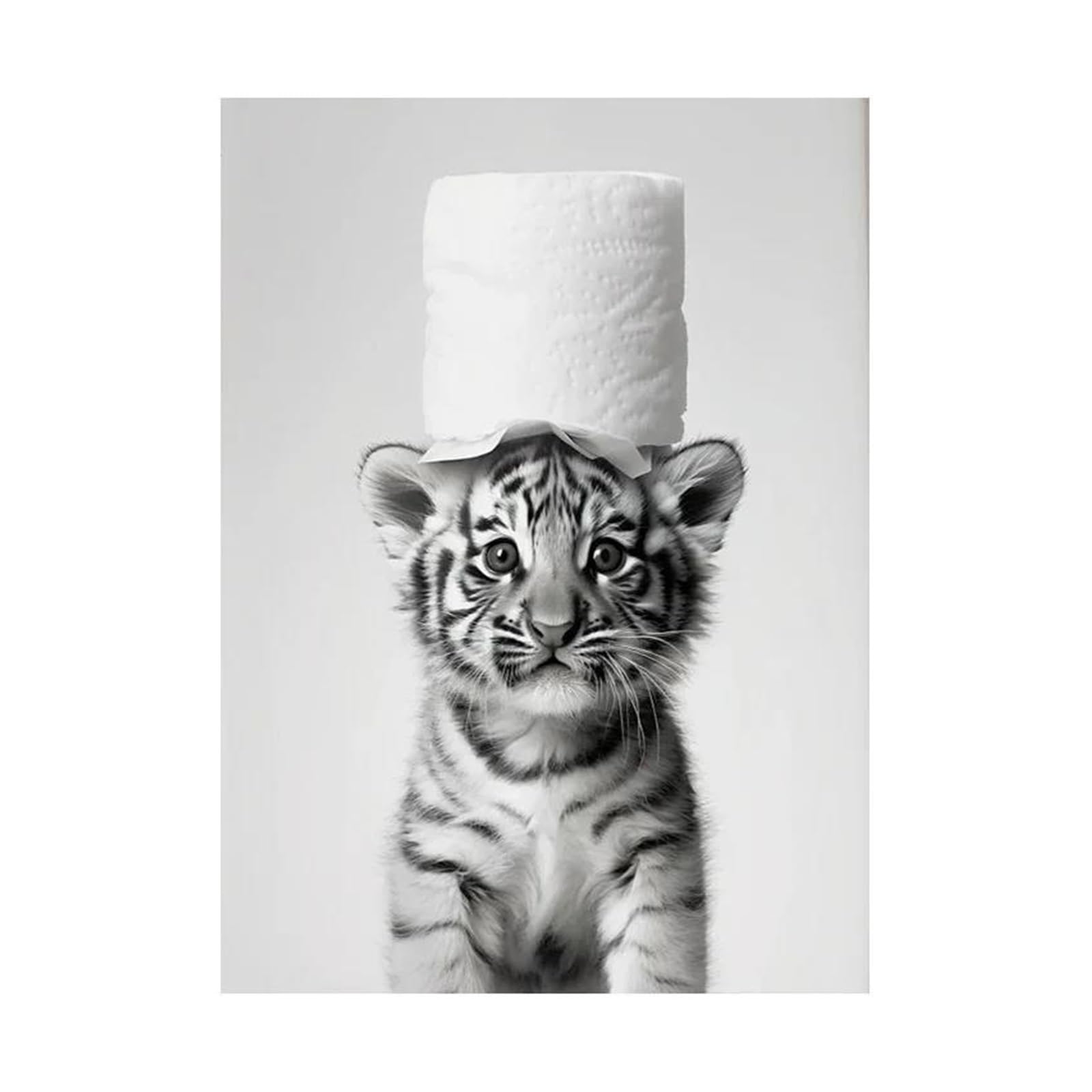 Tableau chat noir et blanc affiche papier toilette 50x70cm pour décoration toile loutre