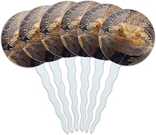 Set of 6 Cupcake Picks Toppers Decoration Reptiles Lizards Snakes Frogs - Bearded Dragon Beardie Lizard Reptile