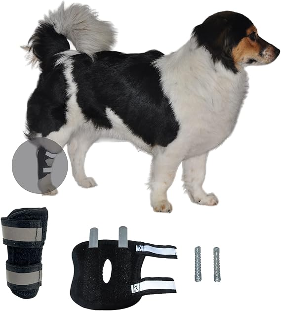 Dog Leg Brace, Pair of Dog Canine Leg Wrap Front Leg