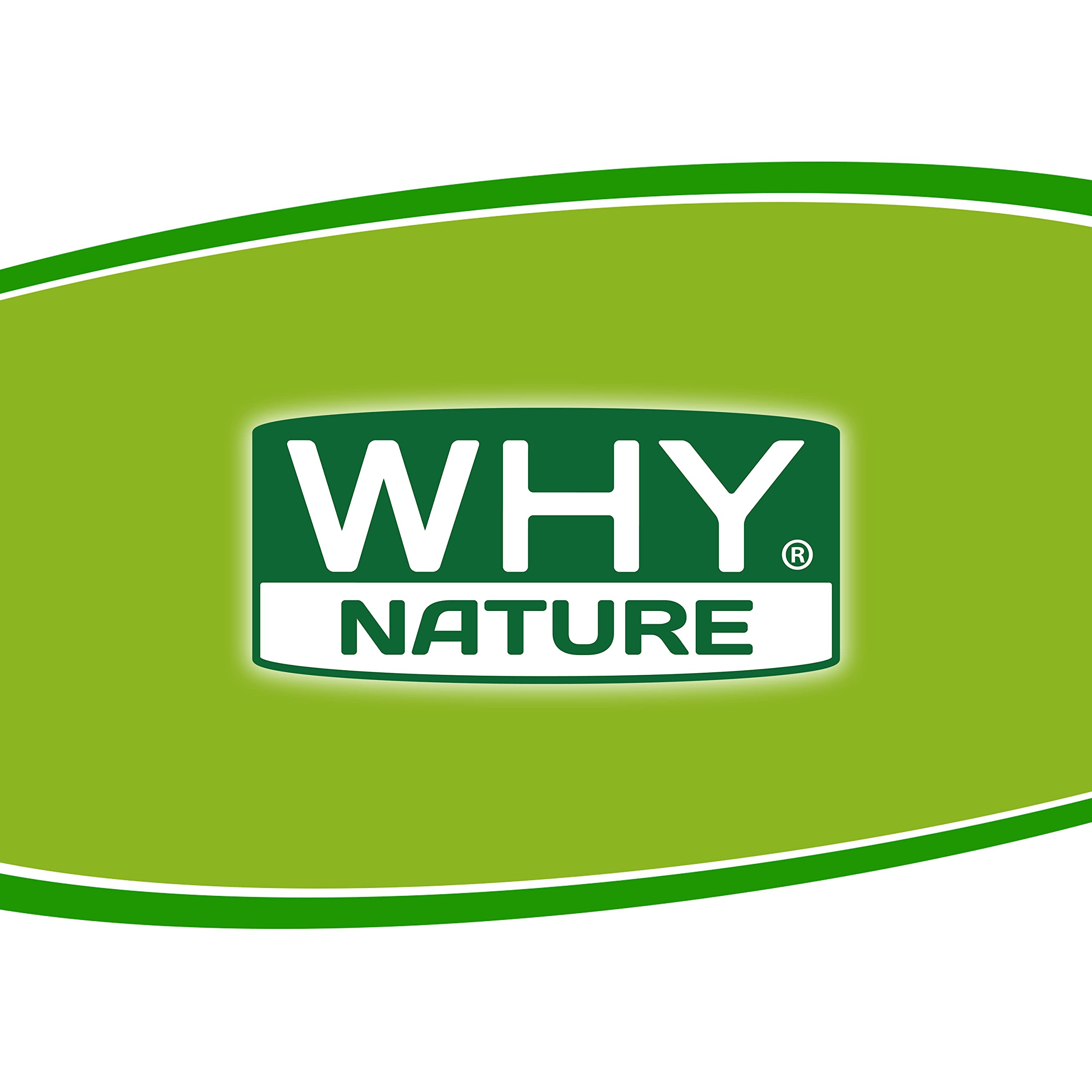 WHY NATURE LOW SUGAR PANCAKE PROTEICO - Pancake Proteici - Preparato Per Pancake Con Farina Di Fiocchi Di Avena - Gusto Cookies - 800 gr