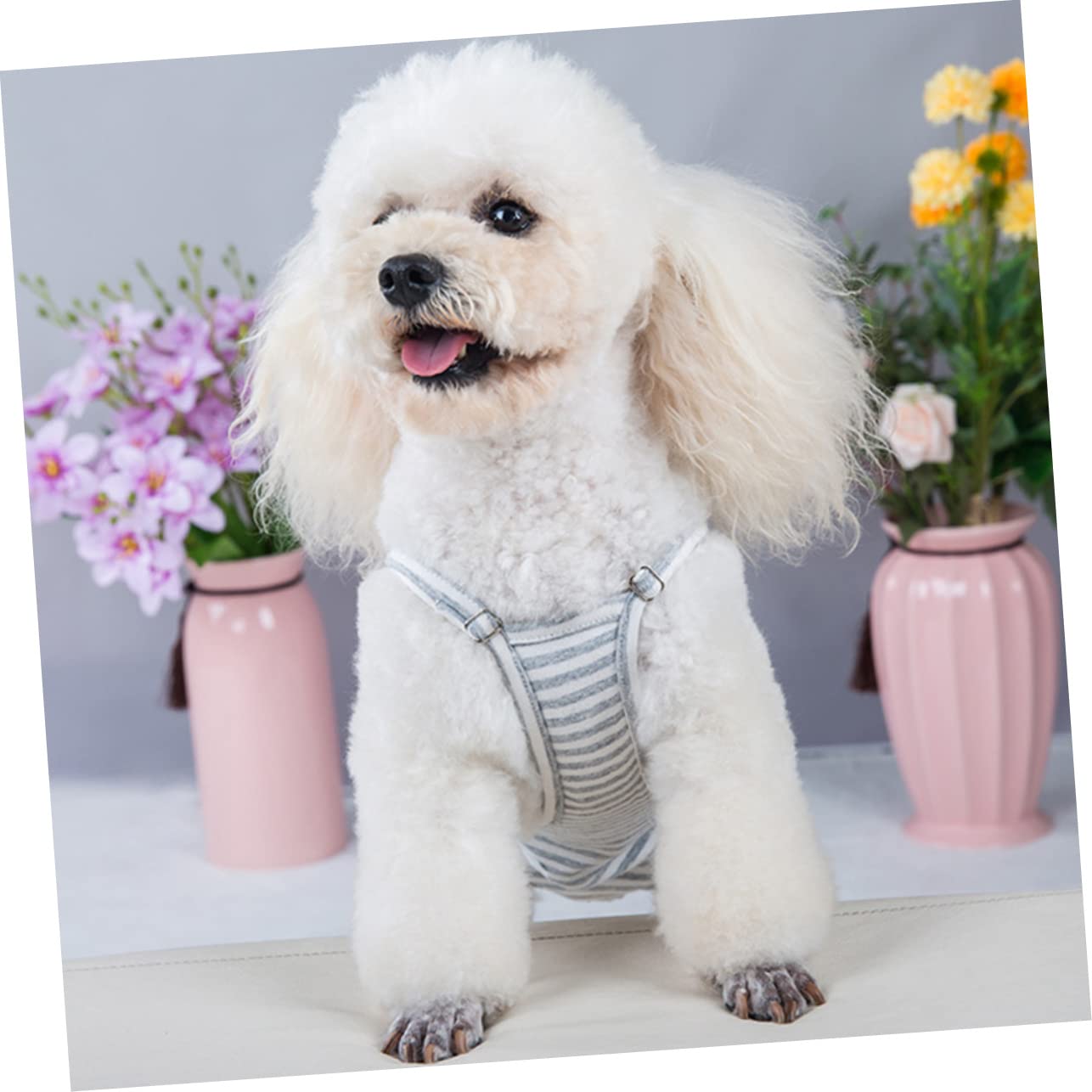 CIYODO Puppy Diaper Period Pants for Female Dogs Washable Dog Underwear with Suspenders Comfortable Stylish Dog Diapers for Pet Supply