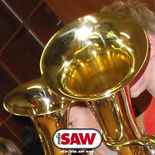 Die mobile Allwetterorgel: Posaunench&ouml;re in der Landeskirche Anhalts