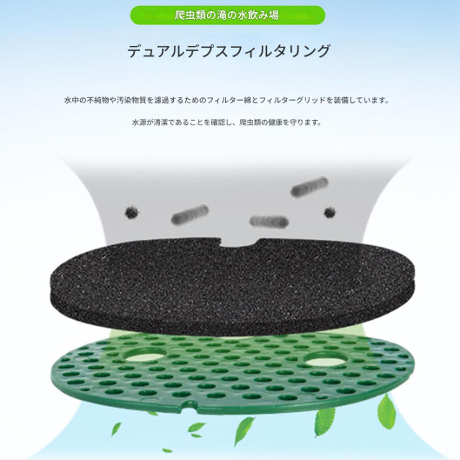 ゆきんこ 爬虫類リクエスト品 ゆきんこ 爬虫類リクエスト品 ゆきんこ 爬虫類リクエスト品 昴