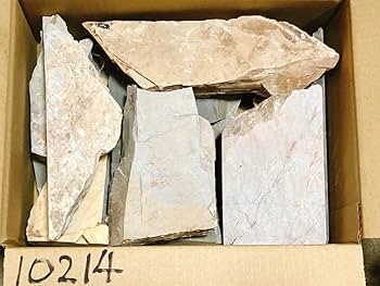 61trVG3fXsL._AC_UF350,