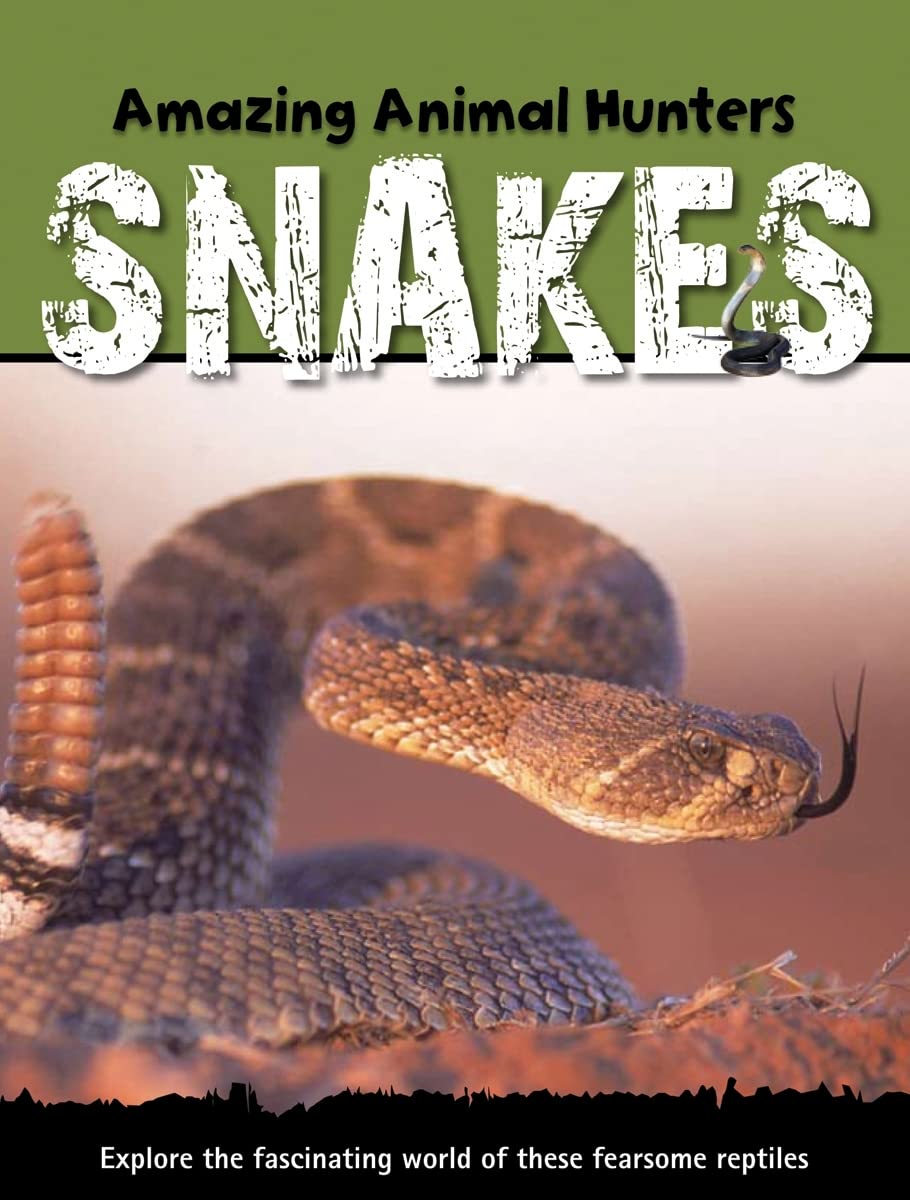 Snakes : Buy Online at Best Price in KSA - Souq is now Amazon.sa: Green