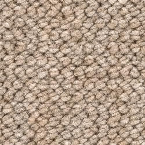 y[J[ybgV[Y Tzf[2 ]ˊԃTCYzhEdEh_jRہEJ[ybgEO~(イ)EOE[vpC (HDR-1054, ]ˊ8(352×352cm))