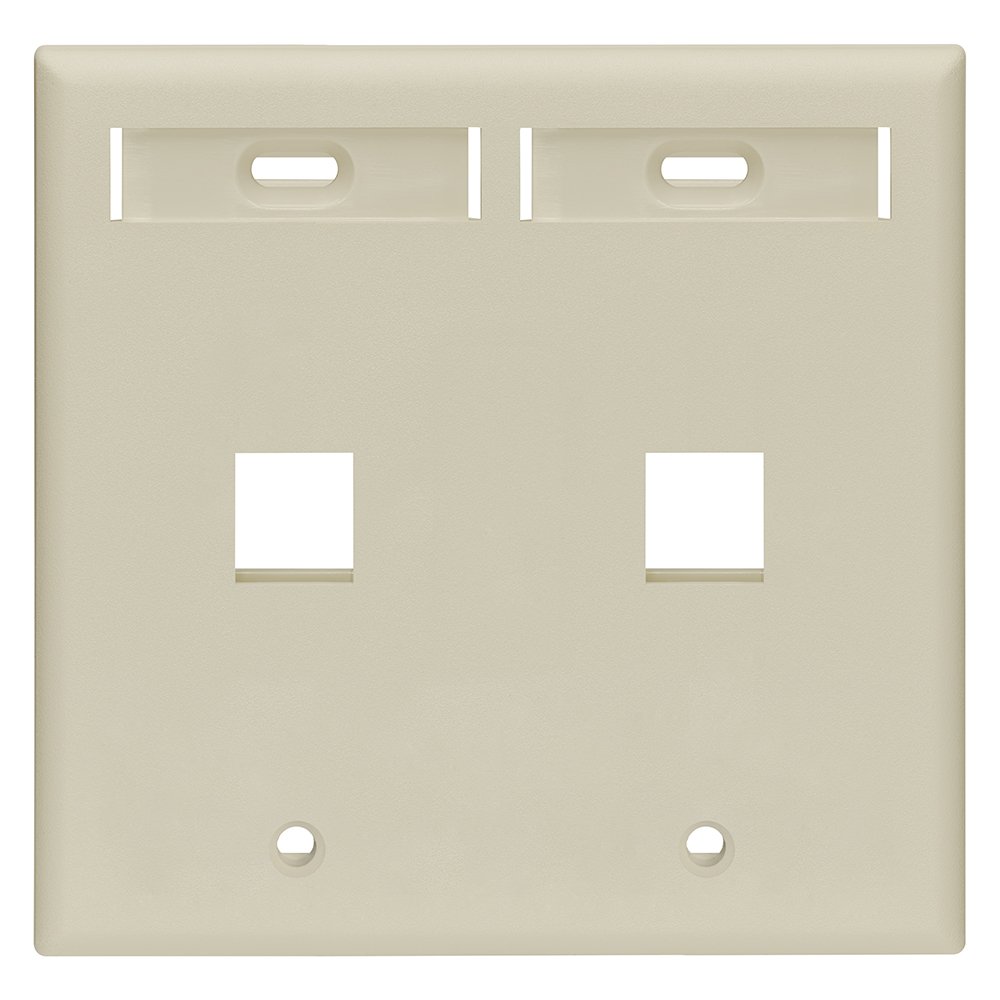 LEVITON 42080-2IP 2Ʈ   Ʈ ÷Ʈ ID  ̺