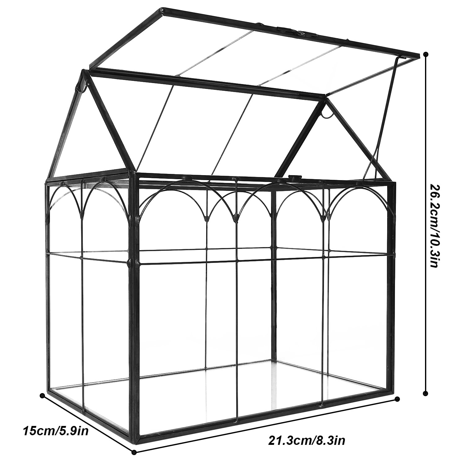 Terrarium en verre 22 cm pour plantes carnivores grasses géométrique