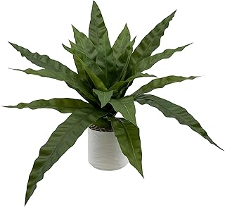 55cm Artificial Bird Nest Fern Plant