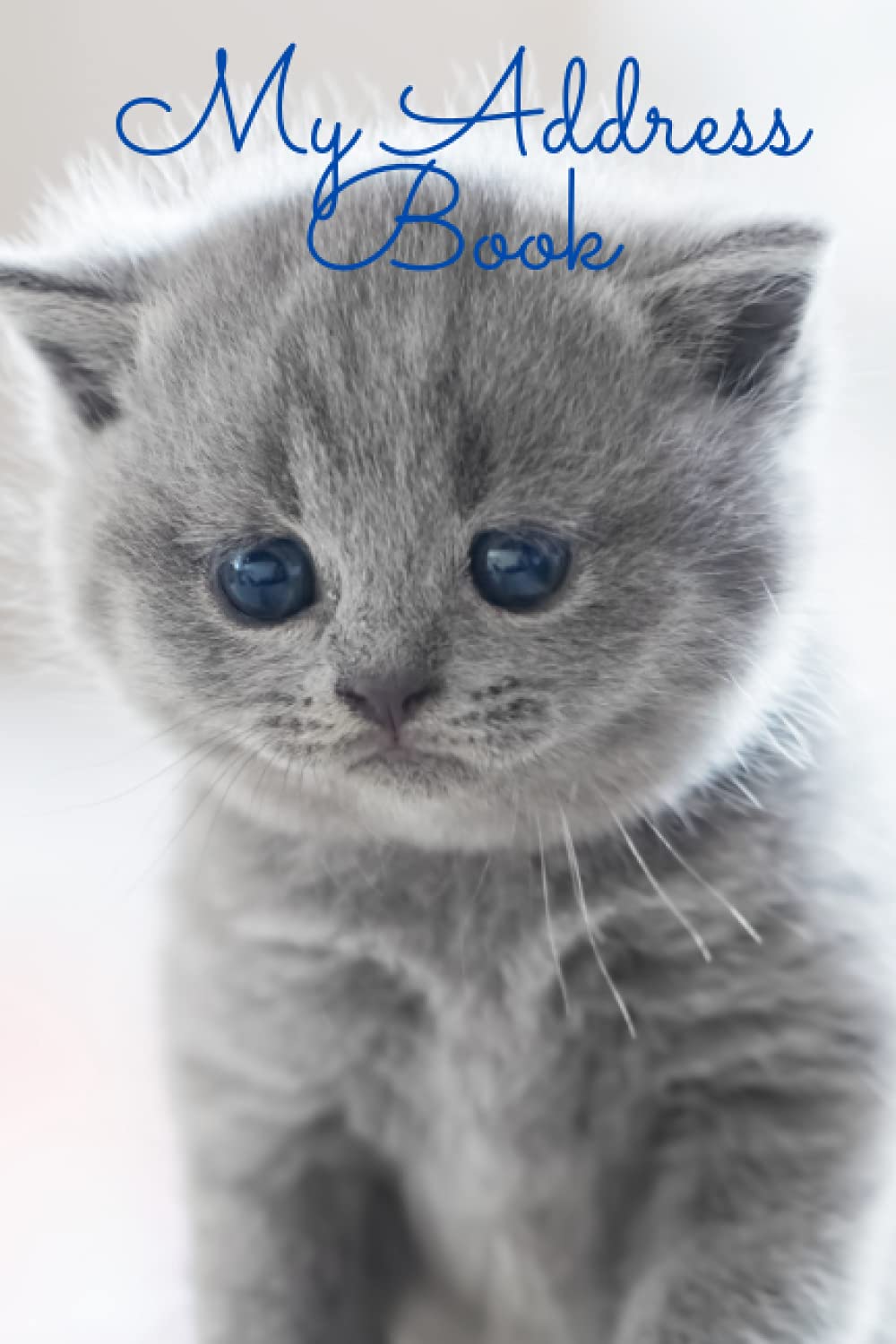 My Address Book: Telephone & Address Book with Alphabetized Pages, 416 Contact Entries [6"x9"] (Best Address Books)