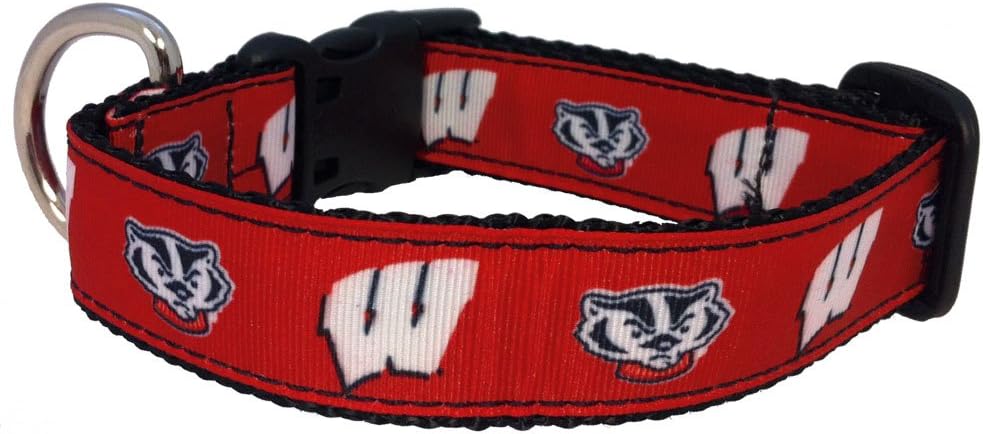 NCAA Wisconsin Badgers Collegiate Dog Collar (Medium)