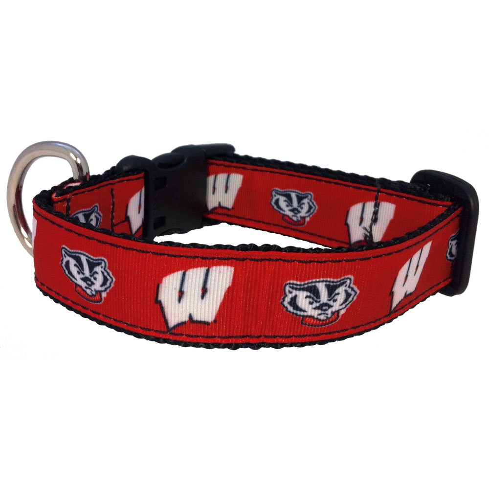 NCAA Wisconsin Badgers Collegiate Dog Collar (Medium)