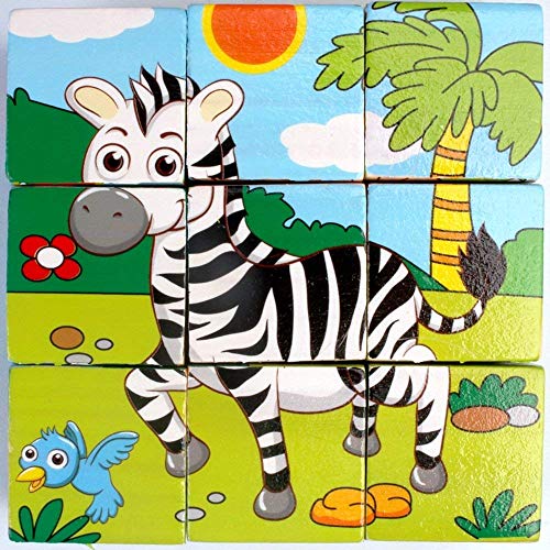Image of FunBlast 6-in-1 Wooden Block Puzzle for Kids, 9-Pcs Colorful Wooden Block Toy for Kids, Picture Puzzle- Multi Color