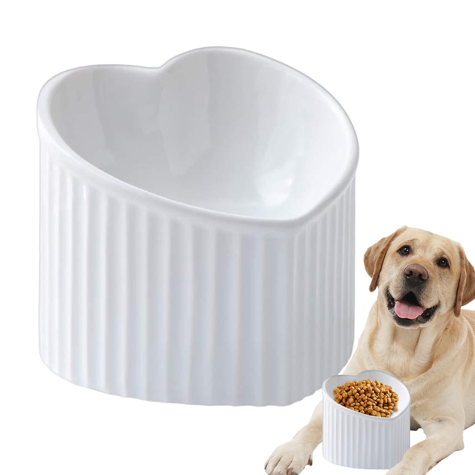 Alimentation des animaux de compagnie : le bol pour chat en porcelaine qui prend soin d'eux