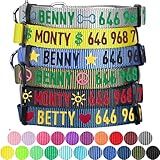 Blueberry Pet Essentials Personalized Martingale Safety Training Dog Collar, Military Green, Medium, Adjustable Customized ID Collars for Dogs Embroidered with Pet Name & Phone Number