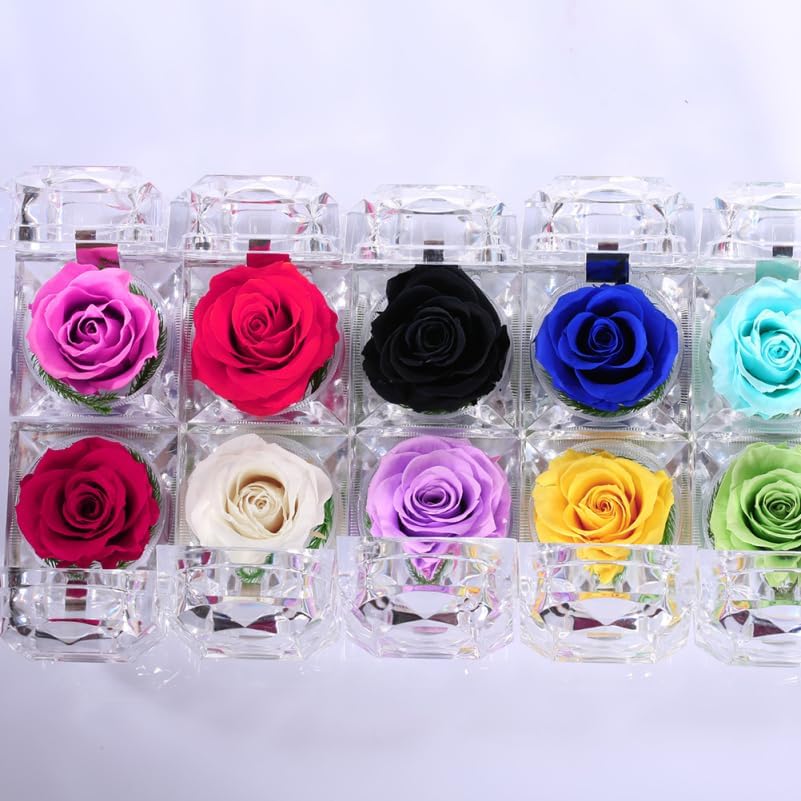 BESTonZON Preserved Flowers Box with Never Withered Rose for Valentine Anniversary Birthday Mini Eternal Rose Display for Women Girlfriend Mom Romantic Home D Cor - Image 3