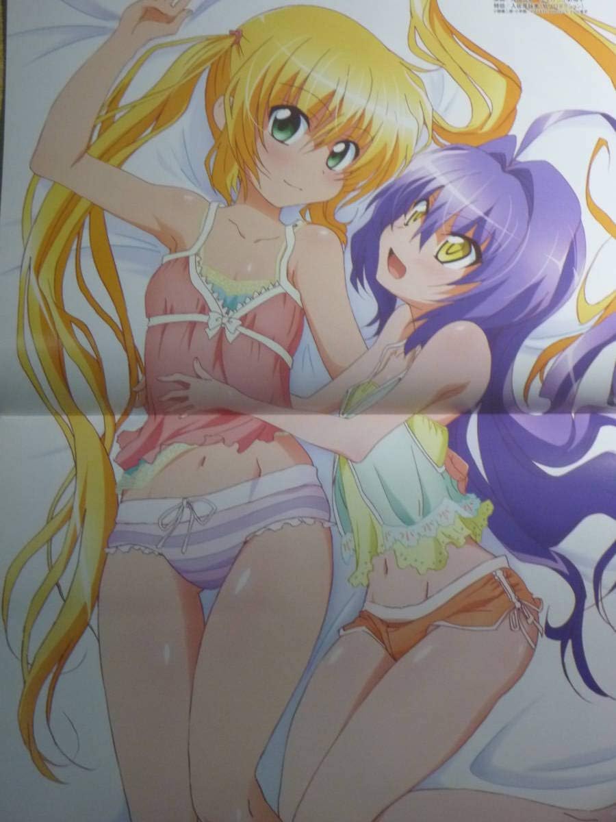 Amazon ハヤテのごとく 武装神姫 ピンナップポスター 三千院ナギ ツグミルリ ヒナ アニメ 萌えグッズ 通販 Amazon ハヤテのごとく 武装神姫 ピンナップポスター 三千院ナギ ツグミルリ ヒナ アニメ 萌えグッズ 通販