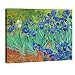 Wieco Art Irises Extra Large Modern Gallery Wrapped Floral Giclee Canvas Prints By Van Gogh Famous Flowers Oil Paintings Reproduction Artwork Pictures on Canvas Wall Art for Bedroom Home Decorations
