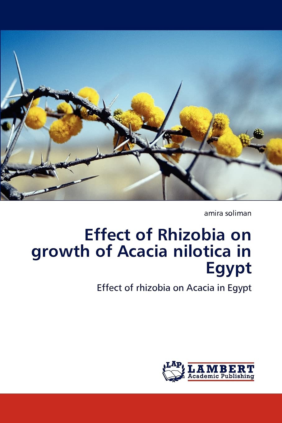 Effect of Rhizobia on growth of Acacia nilotica in Egypt: Effect of rhizobia on Acacia in Egypt Paperback – January 20, 2012