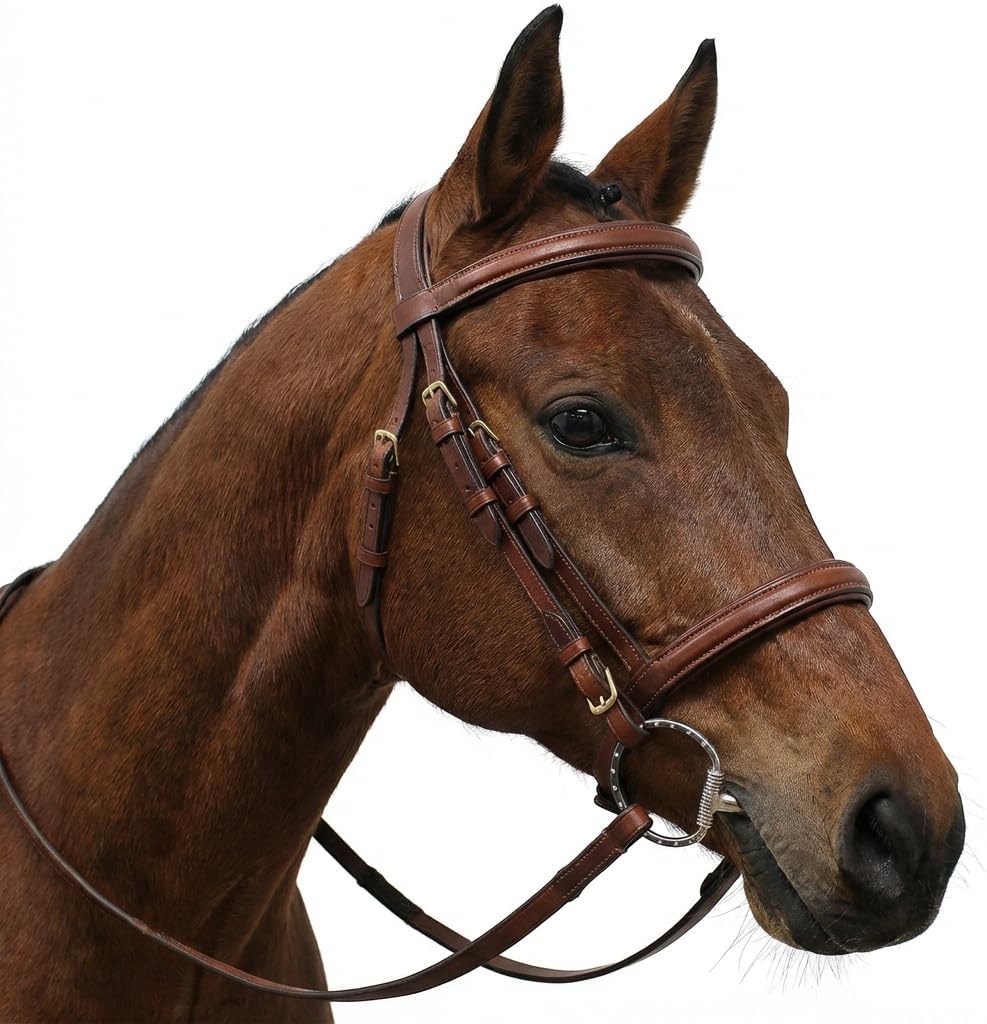 Horse 6" Mouth Studded Dee Ring Sweet Iron Snaffle Bit w/Copper Rollers 3510E