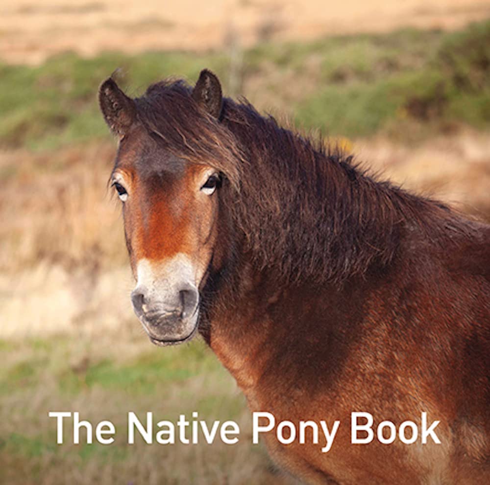 The Native Pony Book (The Nature Book Series). Russ 9781913134822 New**