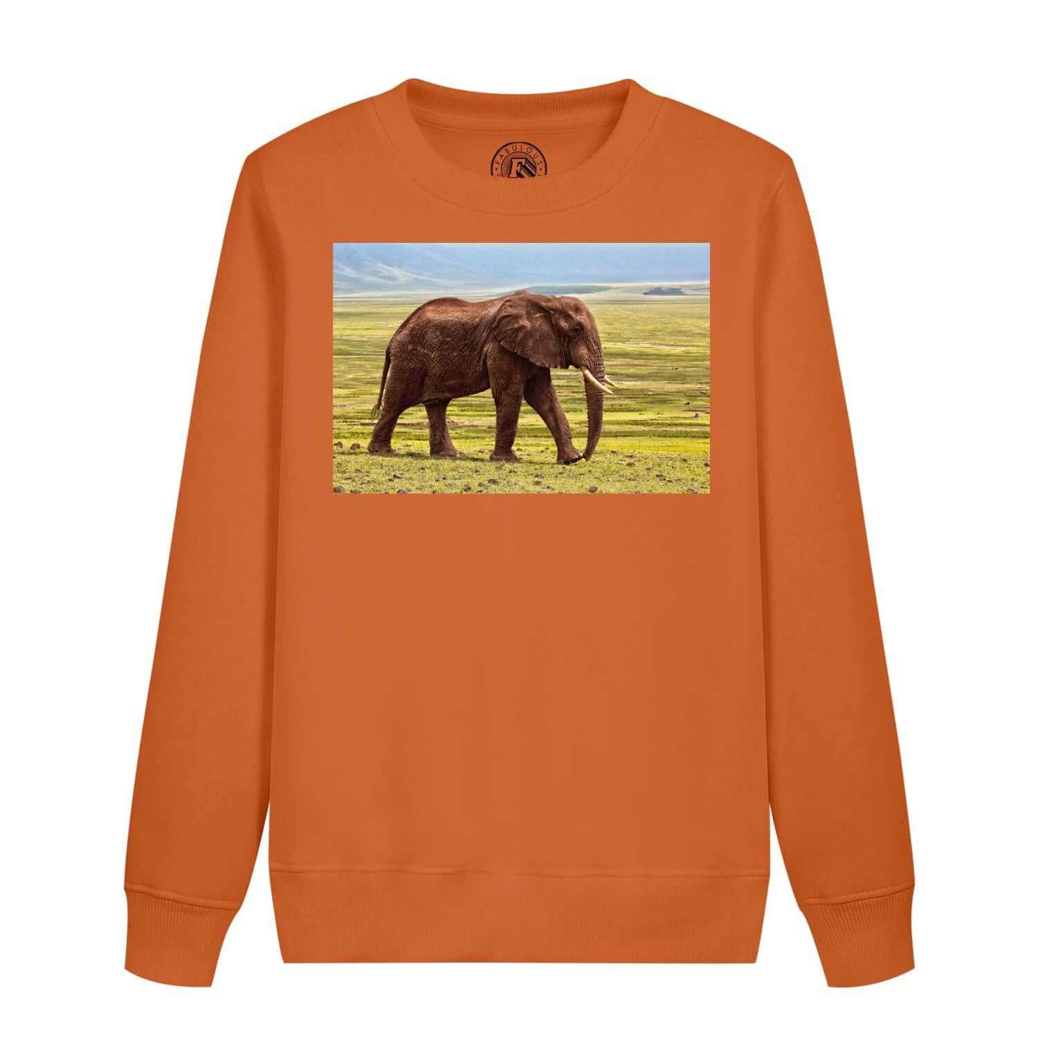 Sweatshirt enfant éléphant d'Afrique confortable et chaud pour l'école - 4