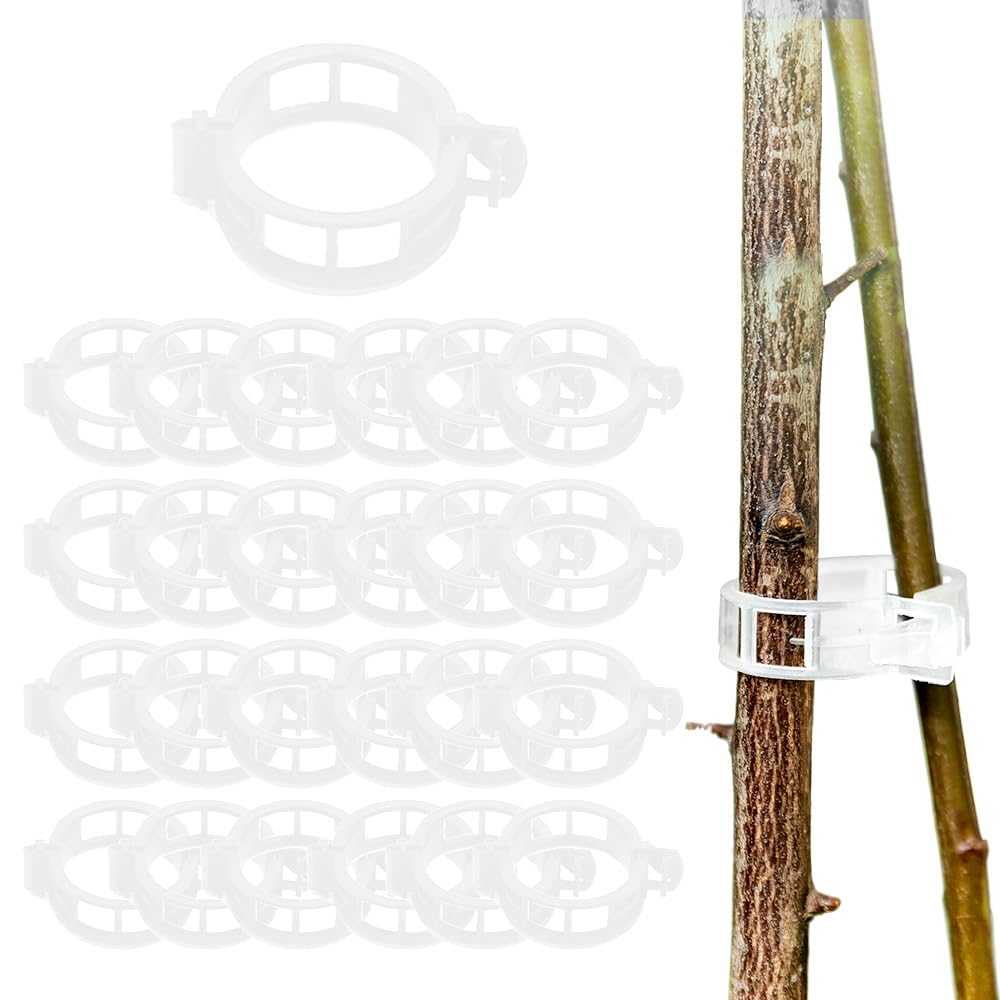 Plant Support Clips, Garden Plant Support Clips Vine Clips Flower Stem Clips, for Climbing Plants, Tomato Plant Support, for Securing Tomatoes, Cucumbers, Roses Outdoor Climbing Plants (100, White)