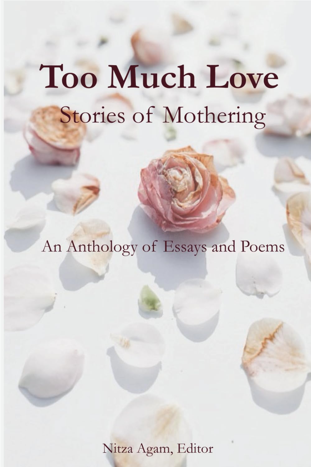 Too Much Love: Stories of Mothering