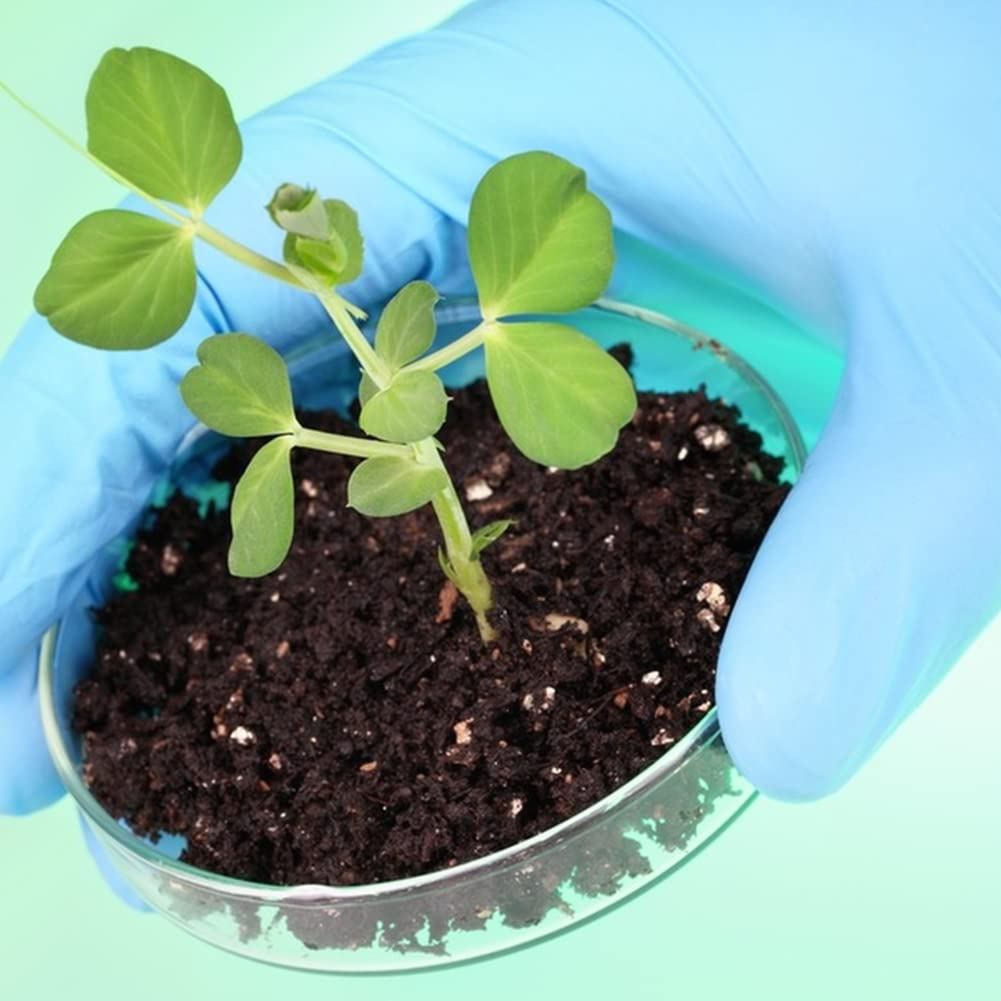 Piastra di Petri,Piastra di Petri Plastica,Piatti Petri 90mm, Piastre Di Petri In Plastica Sterile Capsula Petri con 3ml Pipette,Trasparenti per Cultura di Laboratorio Lievito Batterico