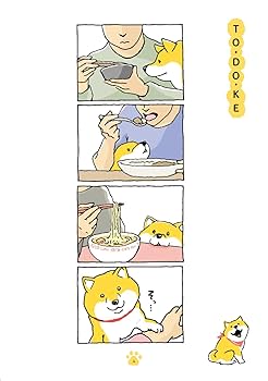 激レアりぼん2000年2～12月号 集英社 りぼん 公式サイト