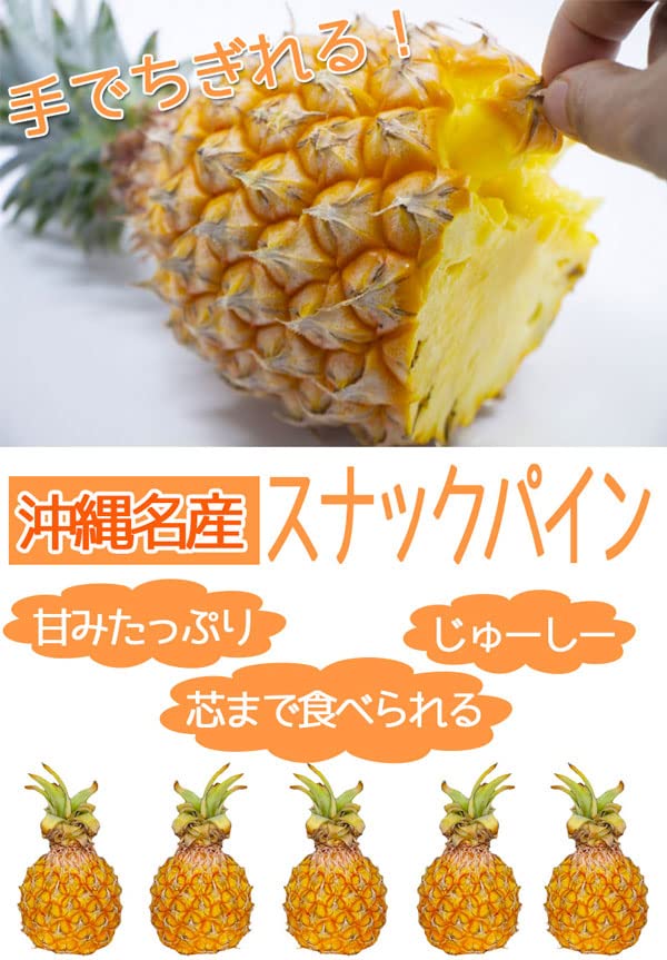 Amazon.co.jp: パイナップル 沖縄産 スナックパイン 3-5玉入 2kg以上
