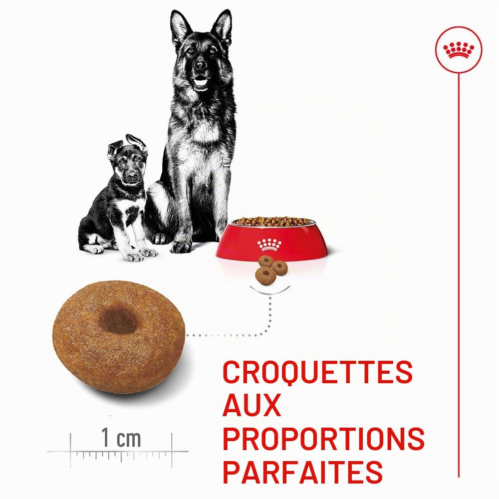 Royal Canin - Croquettes pour chien - Mère et son chiot - 15 kg