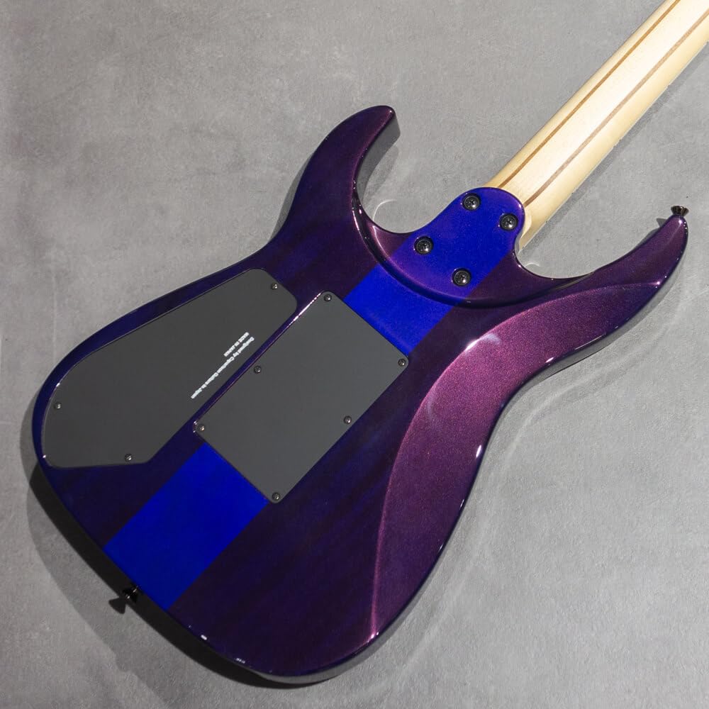 Amazon | Caparison Guitars Dellinger Prominence EF Trans.Spectrum